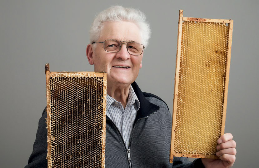 Heinrich Liepold – Der Bienenkönig